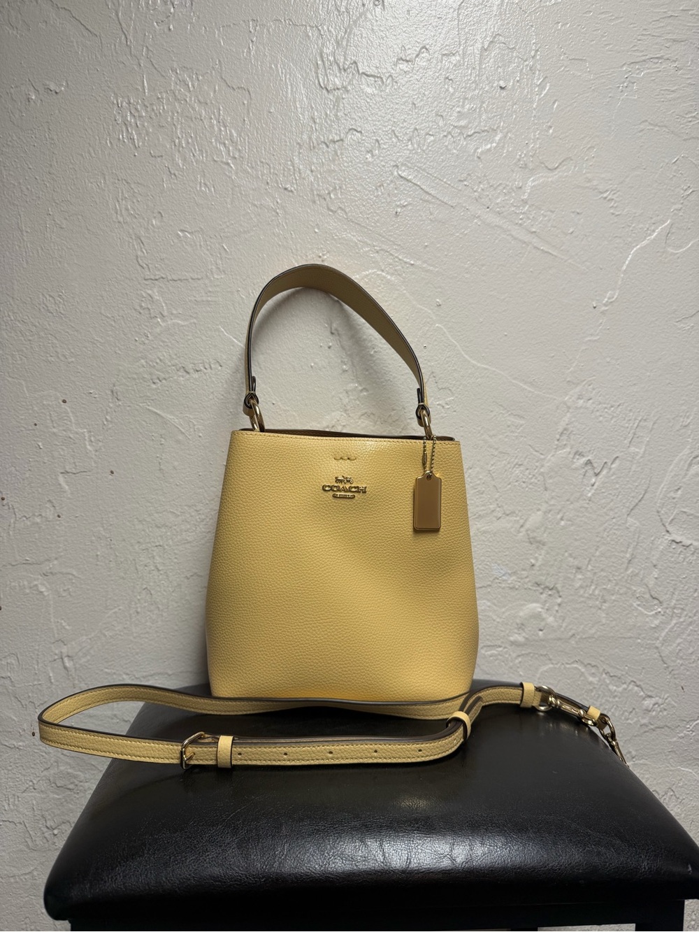 Coach Small Town Bucket Bag